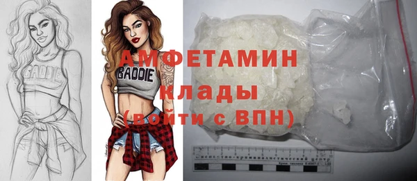 альфа пвп Гусев