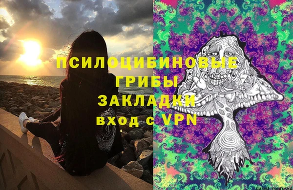 альфа пвп Гусев