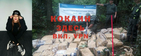 альфа пвп Гусев
