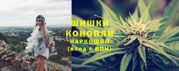 альфа пвп Гусев