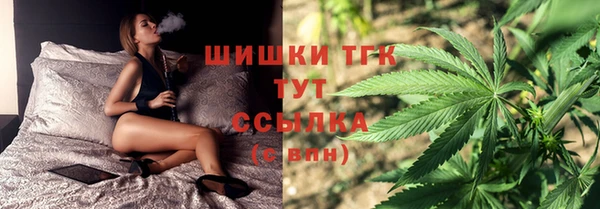 альфа пвп Гусев