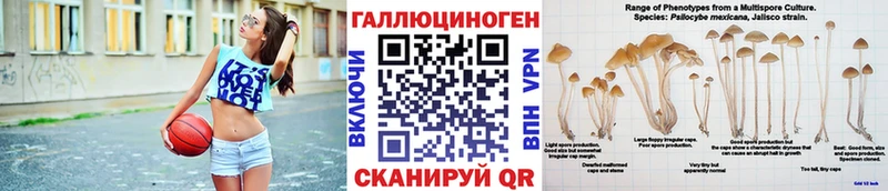 маркетплейс какой сайт  Новохопёрск  Псилоцибиновые грибы мухоморы 
